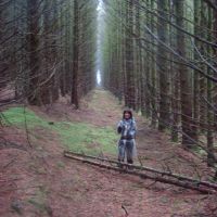 Moel Smytho - Ding in the forest (Dave Shotton)