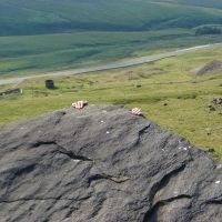 Al tops out on Amen (Pule Hill) 2 (Dave Shotton)