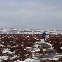 Dave W forges ahead on Pendle Hill (Dave Shotton)