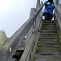 The lookout post... (Roger Dyke)