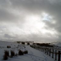 Above the Hushings, Lancashire (Sue Brooke)