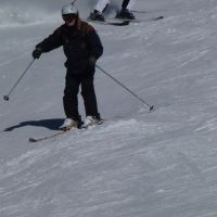Skier (Peter Scholefield)