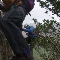 Steve on the abseil descent just before he decided to hang out in a tree (Nick A)