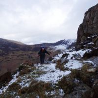 Midge on Fleetwith Edge (Dave Wylie)