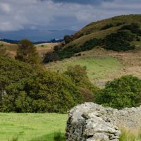 Just above Torver (Philip Hartwell)