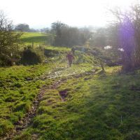 I told you it would be a muddy walk (Roger Dyke)