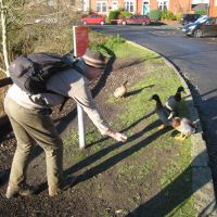 This duck knows Al has a prtable oven in his rucksack... (Roger Dyke)