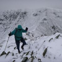 Lester on Catstye Cam (Virginia Castick)