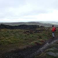 Roger surveys moorland fire damage (Dave Shotton)