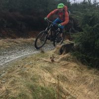 Coed Llandegla (Gowry Sisupalan)