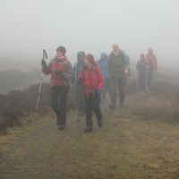 On the misty moors (Dave Shotton)