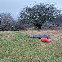 Stuart's Xmas spirits were lifted enough to enable a bivvy (Andy Stratford)