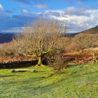 2.00pm sunshine at Ty Powdwr (David Rainsbury)