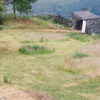 Paddock with mown camping pitches and set aside for wildlife conservation (Andy Stratford)