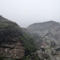 Mich, loitering in the mist (Claire Hawkins)