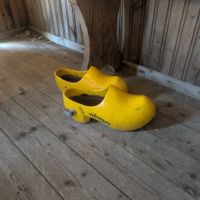 The ultimate crocs!