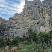 Caro on Corralito