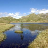 Tarn at Leaves
