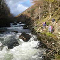 Avon Glaslyn (Roger Dyke)